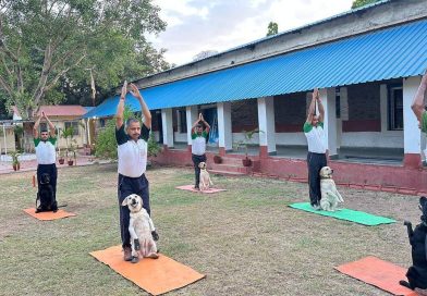 एनडीए कॅडेट्स, लष्करी कर्मचारी आणि त्यांचे कुटुंबीय आणि लष्कराचे कुत्रे पुण्यात आंतरराष्ट्रीय योग दिन साजरा करतात एनडीए कॅडेट्स, लष्करी कर्मचारी आणि त्यांचे कुटुंबीय आणि लष्कराचे कुत्रे पुण्यात आंतरराष्ट्रीय योग दिन साजरा करतात