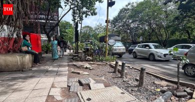 वाहतूक पोलिसांनी पीएमसीला पत्र लिहून, पालखीपूर्वी रस्त्यांचे पुनरुत्थान आणि पायाभूत सुविधा प्रकल्प जलद पूर्ण करण्याची मागणी केली