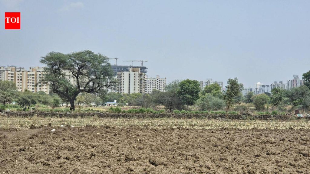 भूमी अभिलेखातील अनियमिततेत गुंतलेल्या महसूल अधिकाऱ्यांवर महासरकार कारवाई करणार : मंत्री बावनकुळे