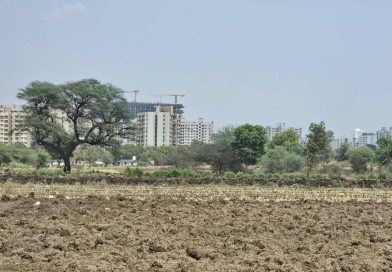 भूमी अभिलेखातील अनियमिततेत गुंतलेल्या महसूल अधिकाऱ्यांवर महासरकार कारवाई करणार : मंत्री बावनकुळे