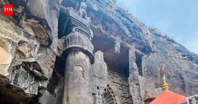 कार्ला लेणीच्या 2,000 वर्ष जुन्या सिंहस्तंभाच्या खाली लपलेली पोकळी सापडली; एएसआय कोसळू नये यासाठी पाऊले | पुणे बातम्या