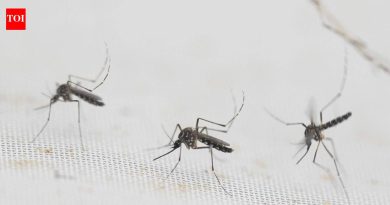 नुकत्याच झालेल्या पावसानंतर पुण्यात डेंग्यूच्या संशयित रुग्णांची संख्या दुप्पट झाली आहे