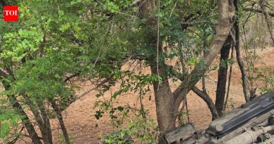 पाबे घाटात मिनीबस दरीत कोसळून मुंबईतील 2 ट्रेकर्स ठार, 18 जखमी