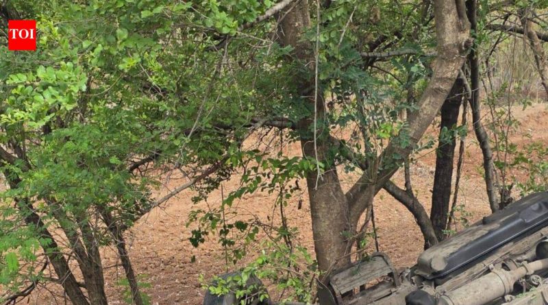 पाबे घाटात मिनीबस दरीत कोसळून मुंबईतील 2 ट्रेकर्स ठार, 18 जखमी