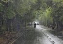 महाराष्ट्र घाट, लोणावळा, ताम्हिणी लॉगवर मान्सूनचे पुनरुज्जीवन | तिप्पट-अंकी पाऊस | पुणे बातम्या