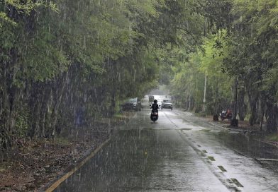 महाराष्ट्र घाट, लोणावळा, ताम्हिणी लॉगवर मान्सूनचे पुनरुज्जीवन | तिप्पट-अंकी पाऊस | पुणे बातम्या