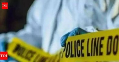 पत्नीच्या हत्येप्रकरणी पिंपरी चालकावर गुन्हा दाखल