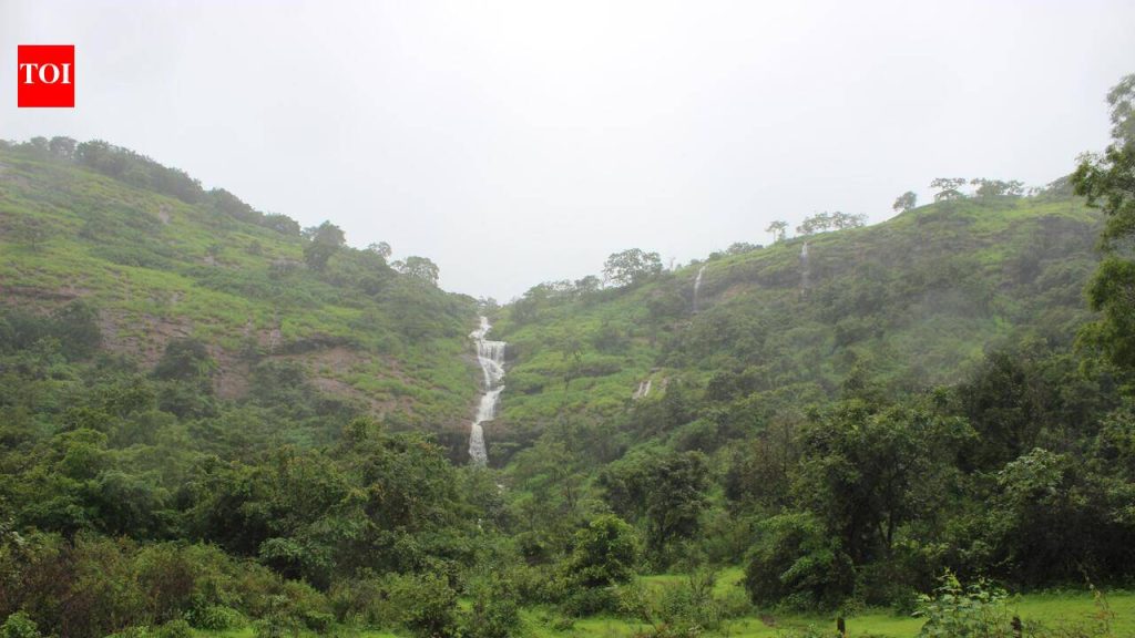 ईवे धबधब्याजवळ थांबून चालवा | पुणे बातम्या