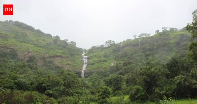 ईवे धबधब्याजवळ थांबून चालवा | पुणे बातम्या