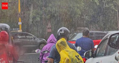 या मान्सूनच्या सर्वाधिक २४ तासांच्या पावसाने पुणे भिजले; पुढील २४ तासांत आणखी पावसाची शक्यता | पुणे बातम्या या मान्सूनच्या सर्वाधिक २४ तासांच्या पावसाने पुणे भिजले; पुढील २४ तासांत आणखी पावसाची शक्यता | पुणे बातम्या