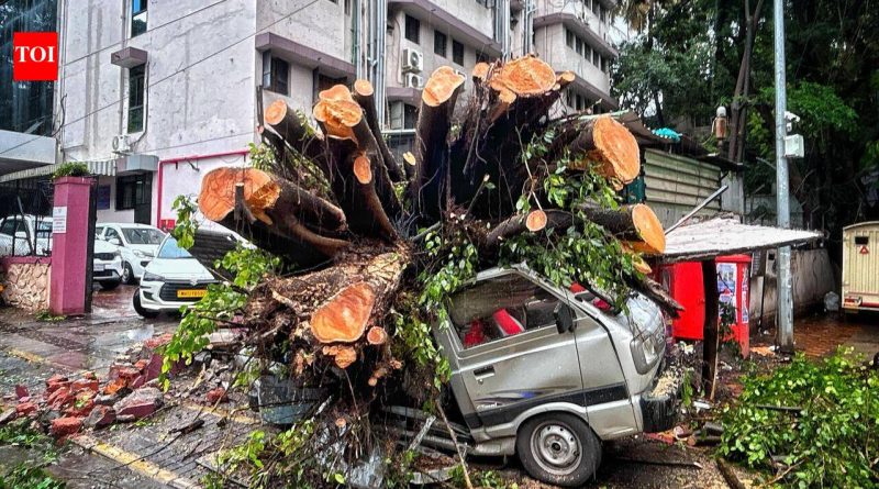50 हून अधिक झाडे पडण्याची प्रकरणे अग्निशमन दलाच्या कर्मचाऱ्यांना त्यांच्या अंगठ्यावर ठेवतात 50 हून अधिक झाडे पडण्याची प्रकरणे अग्निशमन दलाच्या कर्मचाऱ्यांना त्यांच्या अंगठ्यावर ठेवतात