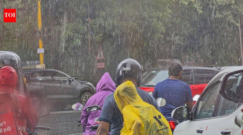 IMD ने जारी केलेल्या रेड अलर्टनंतर पुणे शहर आणि जिल्ह्यात 6 जुलै रोजी शाळांना सुट्टी जाहीर करण्यात आली आहे | पुणे बातम्या IMD ने जारी केलेल्या रेड अलर्टनंतर पुणे शहर आणि जिल्ह्यात 6 जुलै रोजी शाळांना सुट्टी जाहीर करण्यात आली आहे | पुणे बातम्या