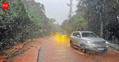 महाराष्ट्रातील घाटात पावसाचा जोर कायम, महाबळेश्वरला दरड कोसळली | पुणे बातम्या महाराष्ट्रातील घाटात पावसाचा जोर कायम, महाबळेश्वरला दरड कोसळली | पुणे बातम्या