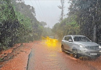 महाराष्ट्रातील घाटात पावसाचा जोर कायम, महाबळेश्वरला दरड कोसळली | पुणे बातम्या महाराष्ट्रातील घाटात पावसाचा जोर कायम, महाबळेश्वरला दरड कोसळली | पुणे बातम्या