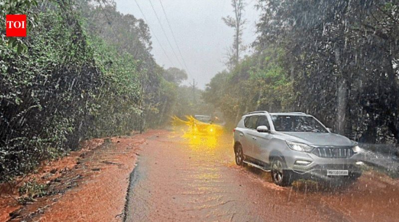 महाराष्ट्रातील घाटात पावसाचा जोर कायम, महाबळेश्वरला दरड कोसळली | पुणे बातम्या महाराष्ट्रातील घाटात पावसाचा जोर कायम, महाबळेश्वरला दरड कोसळली | पुणे बातम्या