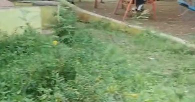 राव कॉलनीतील गार्डन गवताच्या विळख्यात:उद्यान विभाग झोपेतच?  लहान मुलांच्या सुरक्षेचा प्रश्न ऐरणीवर:तळेगाव दाभाडे नगरपरिषद प्रशासनावर नागरिकांचा संताप