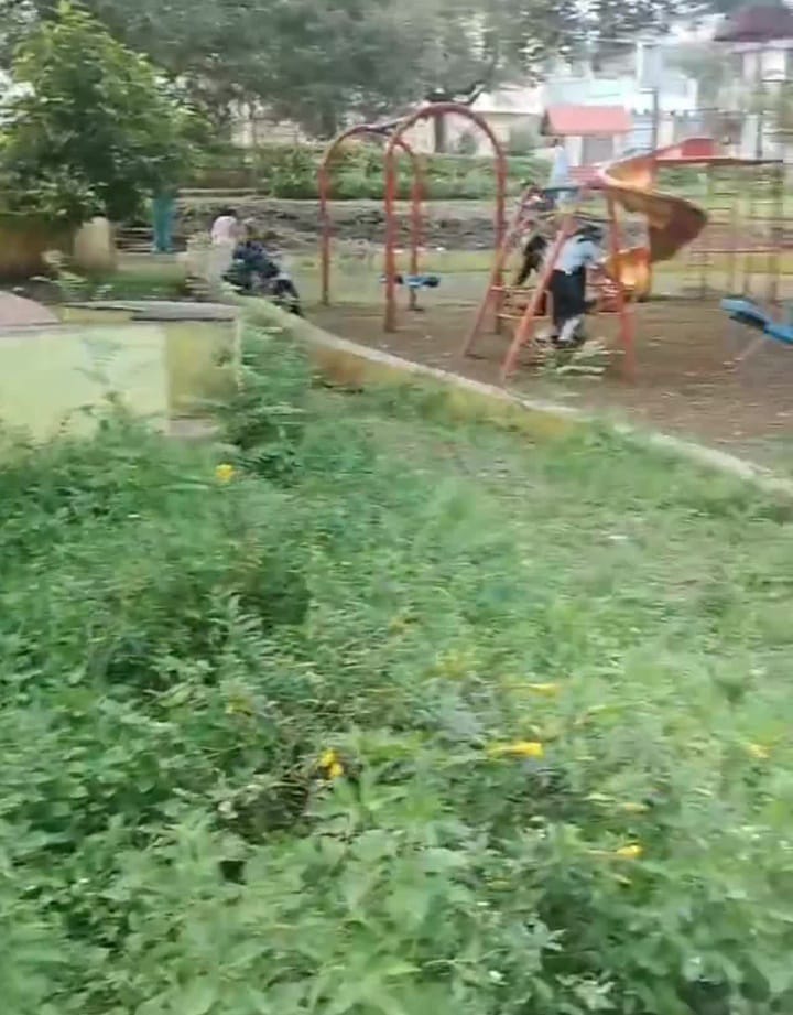राव कॉलनीतील गार्डन गवताच्या विळख्यात:उद्यान विभाग झोपेतच?  लहान मुलांच्या सुरक्षेचा प्रश्न ऐरणीवर:तळेगाव दाभाडे नगरपरिषद प्रशासनावर नागरिकांचा संताप